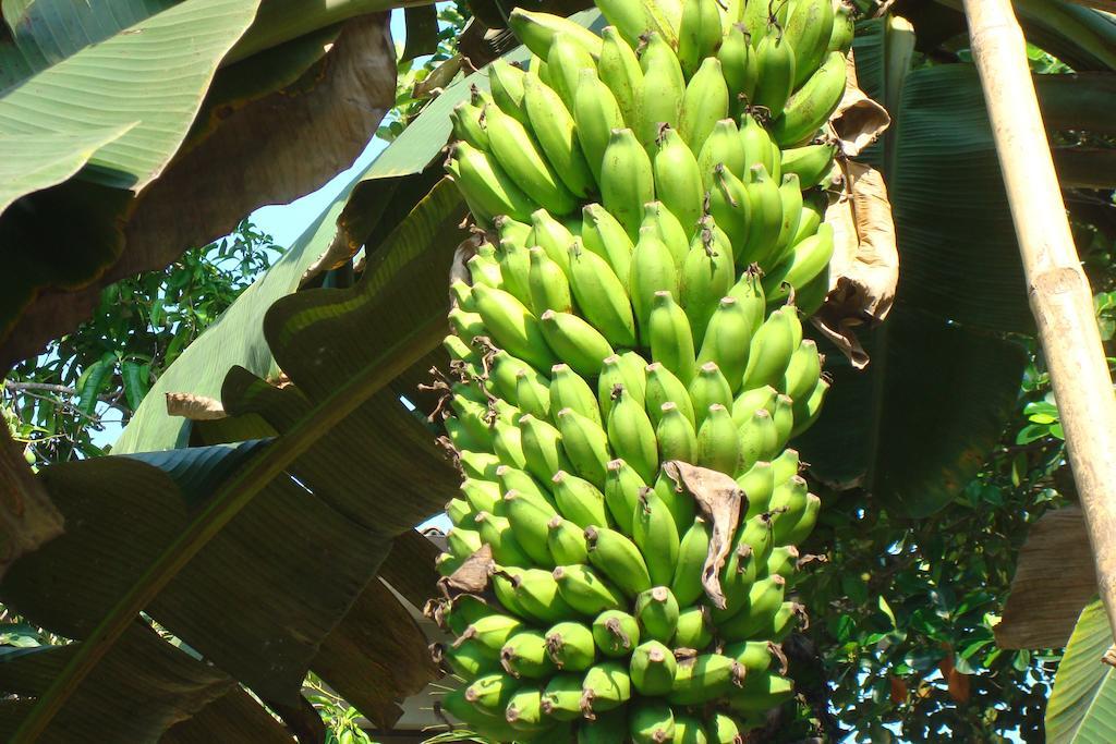 Blue Seas Guest House Dehiwala-Mount Lavinia Zewnętrze zdjęcie